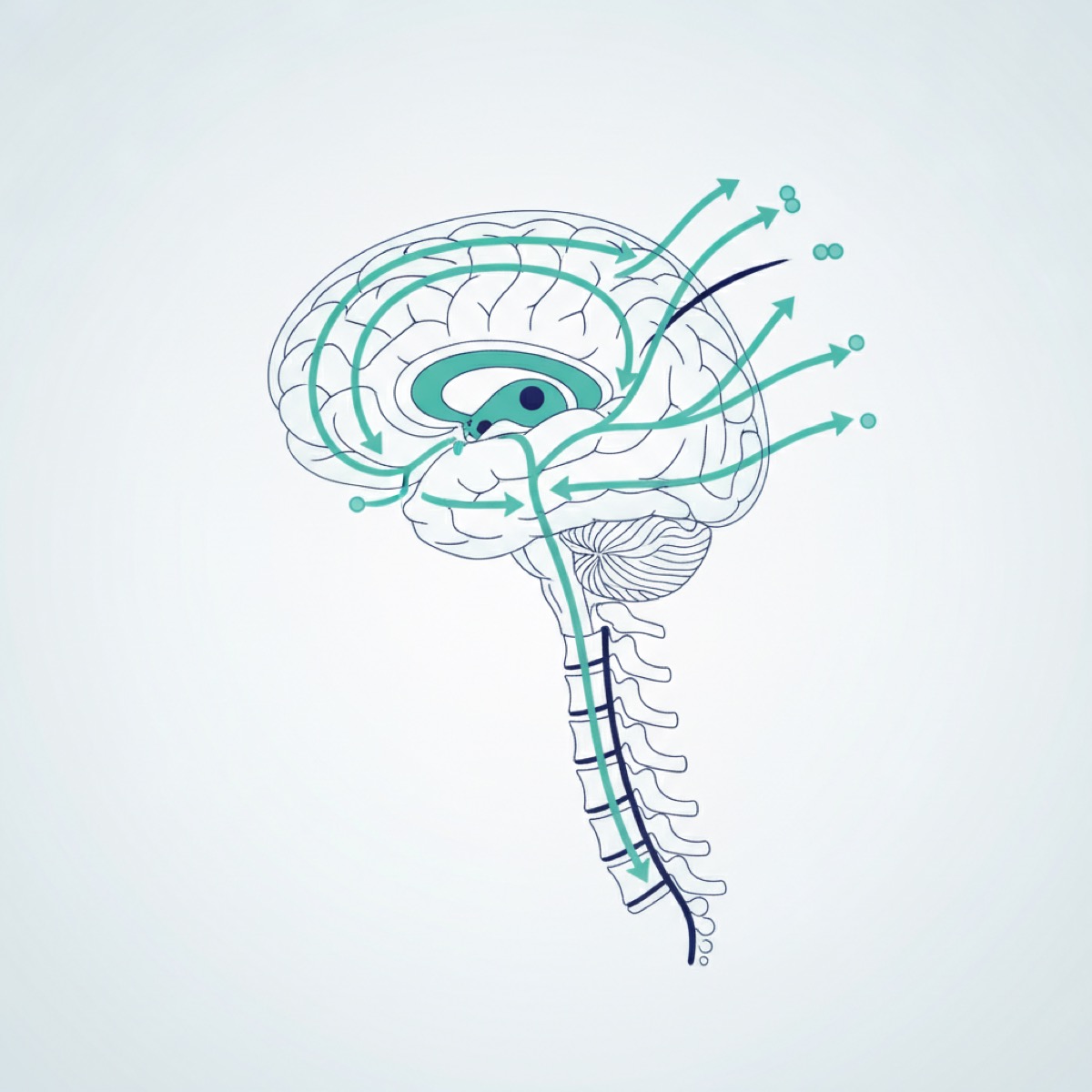 Why enhance cerebrospinal fluid flow?
