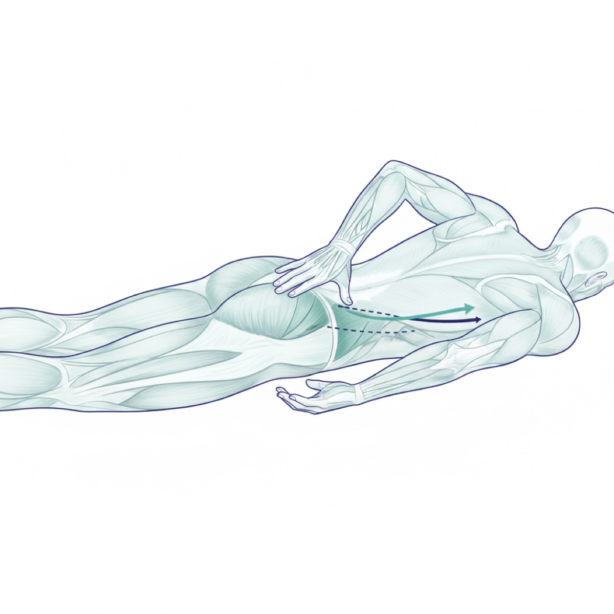 What to expect from a fascia release session