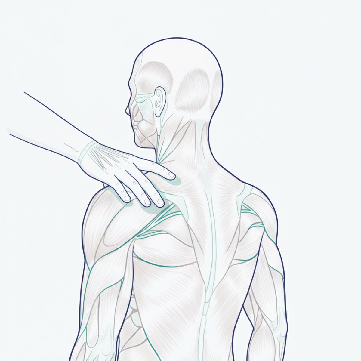 How is fascia release performed?