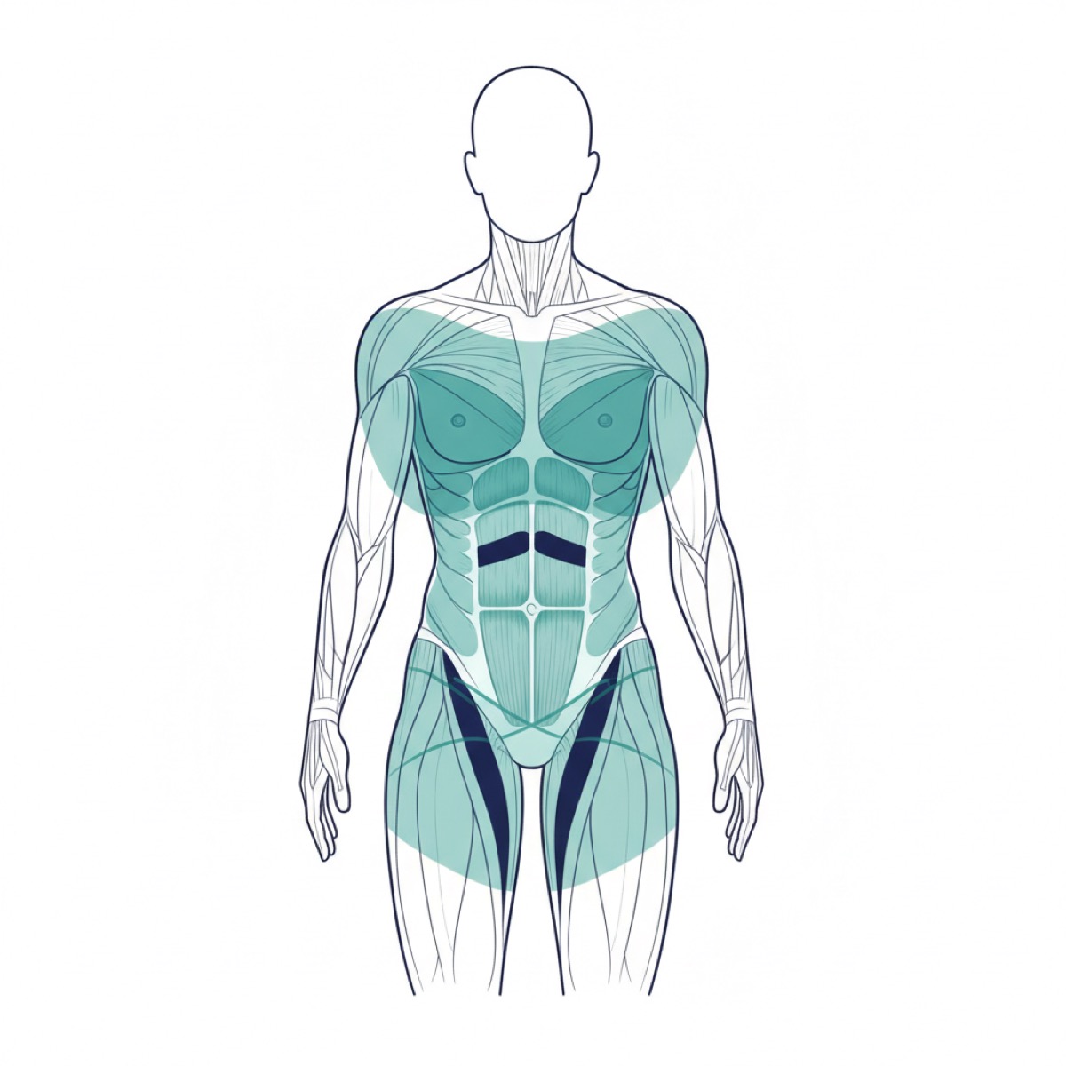 How does fascia release alleviate low back pain?