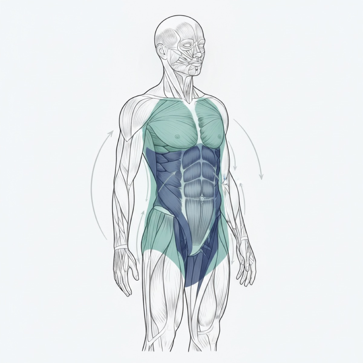 Why does shoulder pain occur?