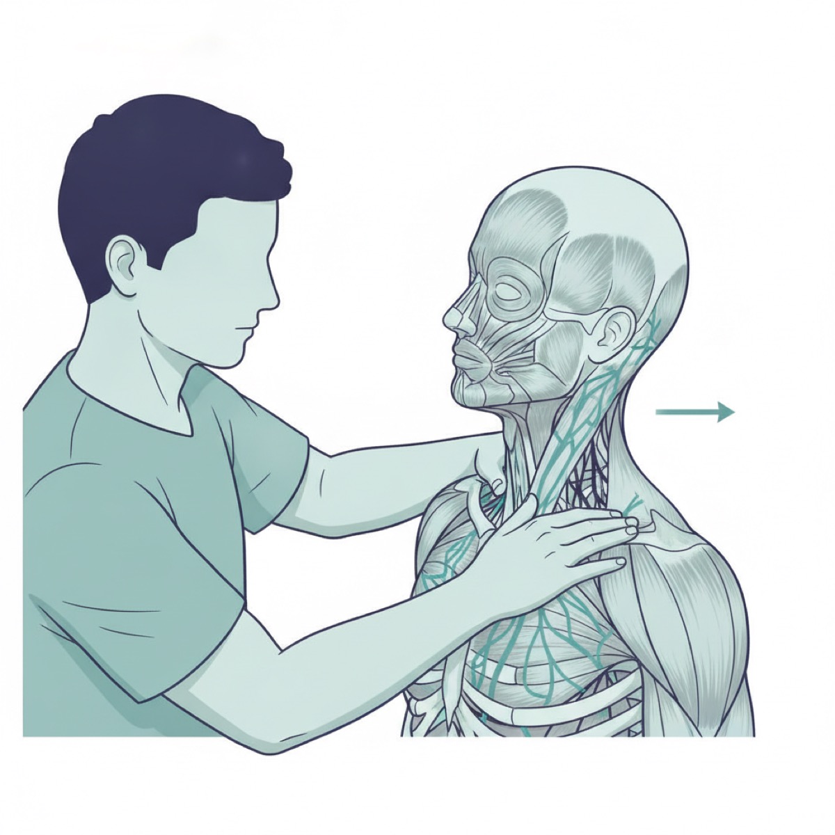 How does fascia release work in pelvic adjustments?