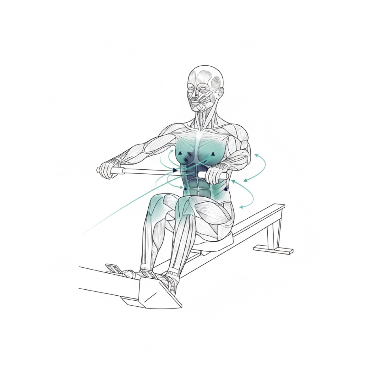 What exercises support fascia release from the lower dantian?