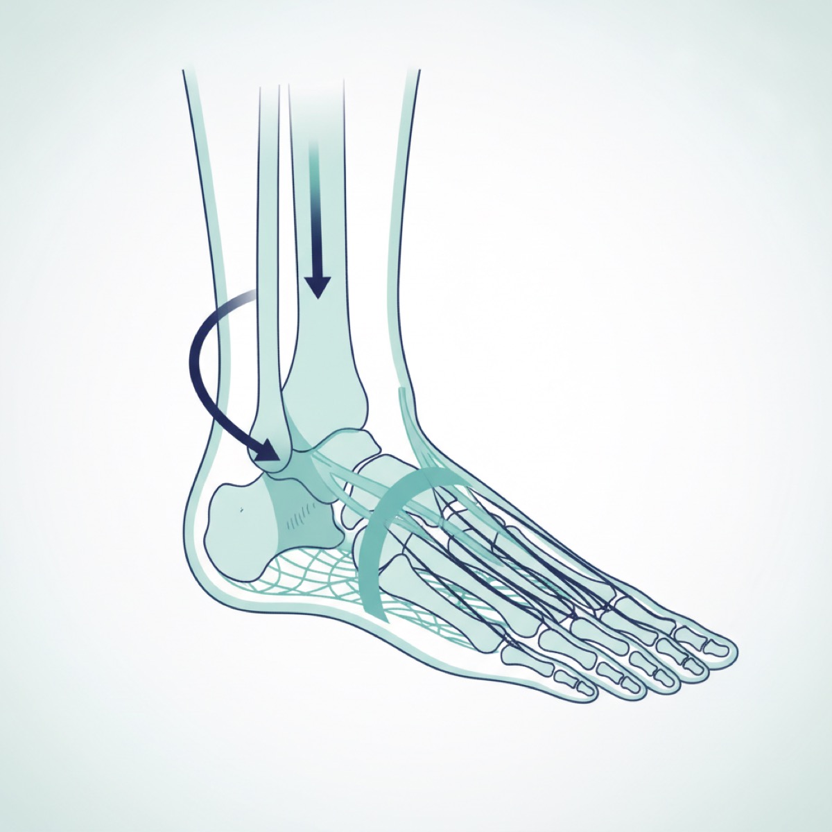 Why is foot stability important?