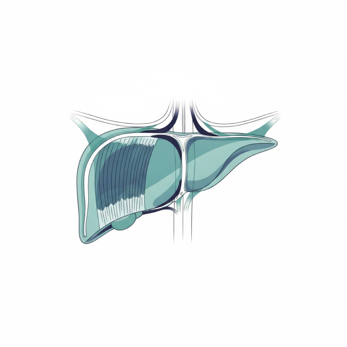 What are the benefits of diaphragm release?