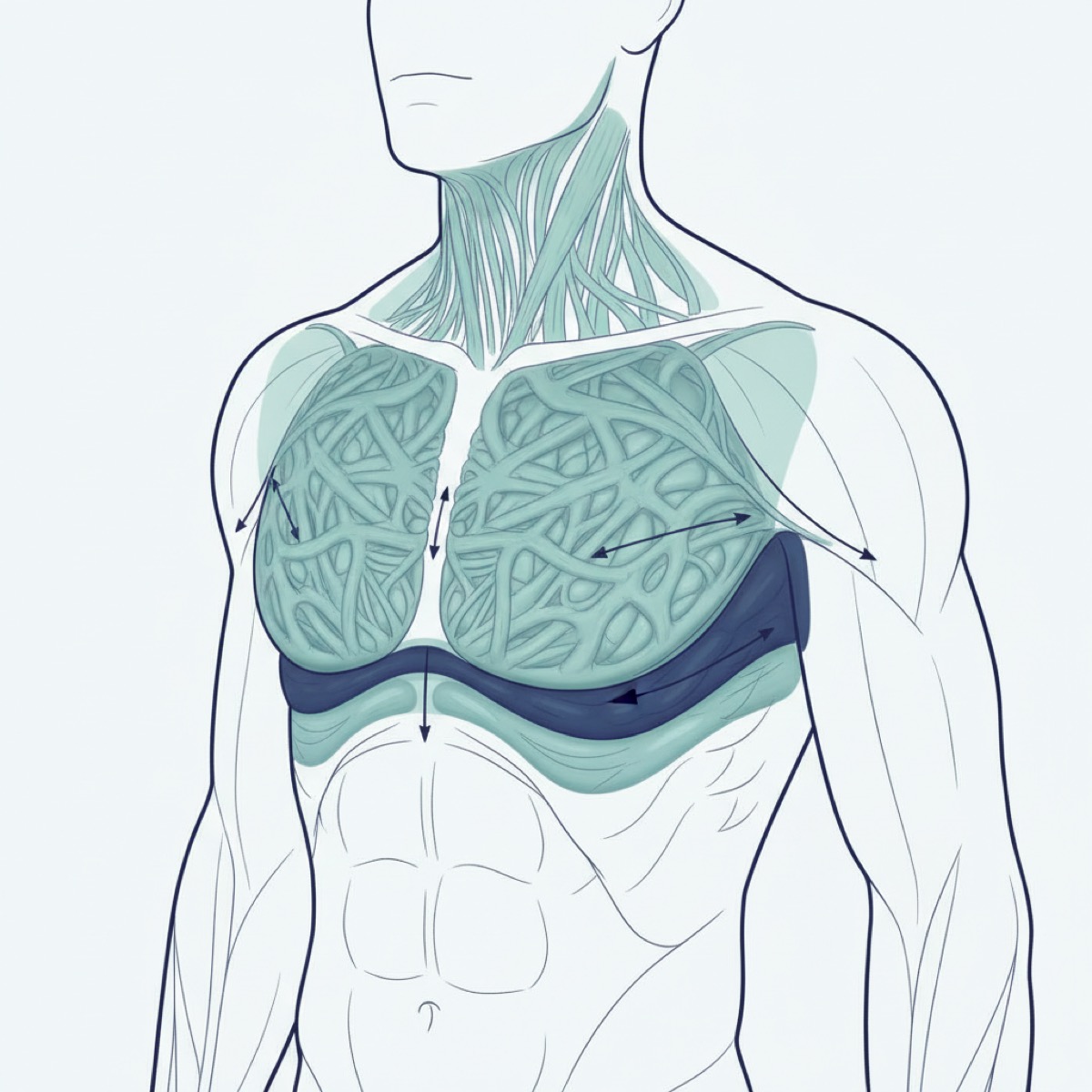 What is scalene muscle release?