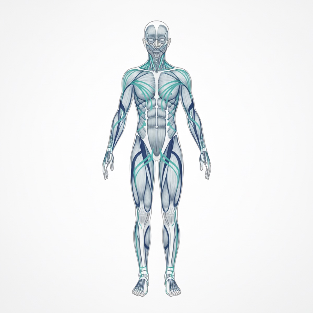 How does fascia release alleviate low back pain?