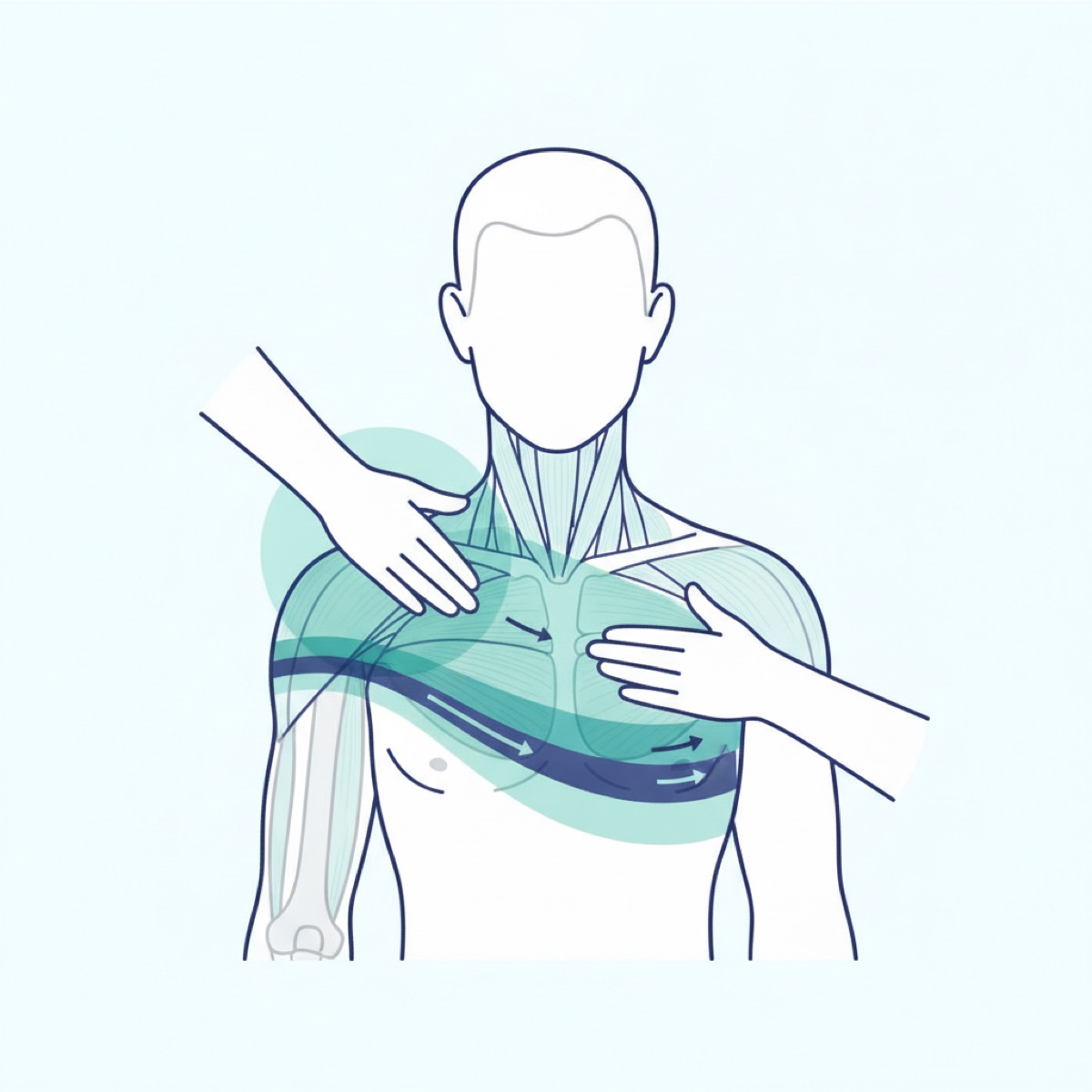 How can fascia release improve mobility?