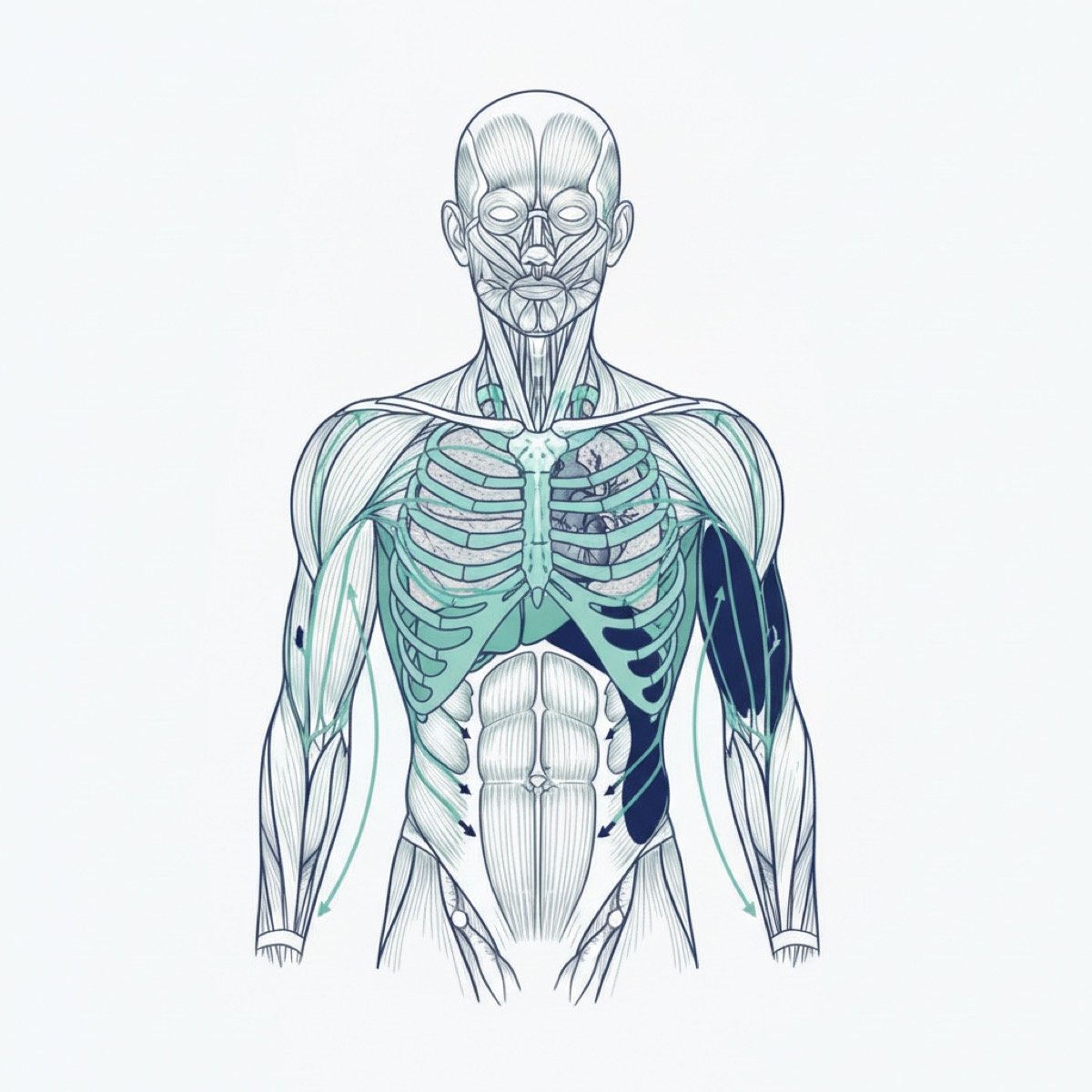 How can the pelvis and ear alleviate knee pain?