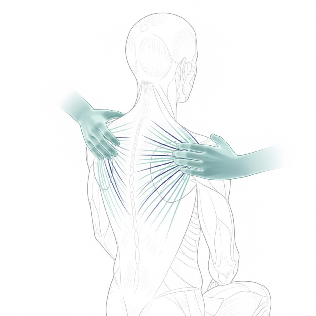 What to expect from fascia therapy