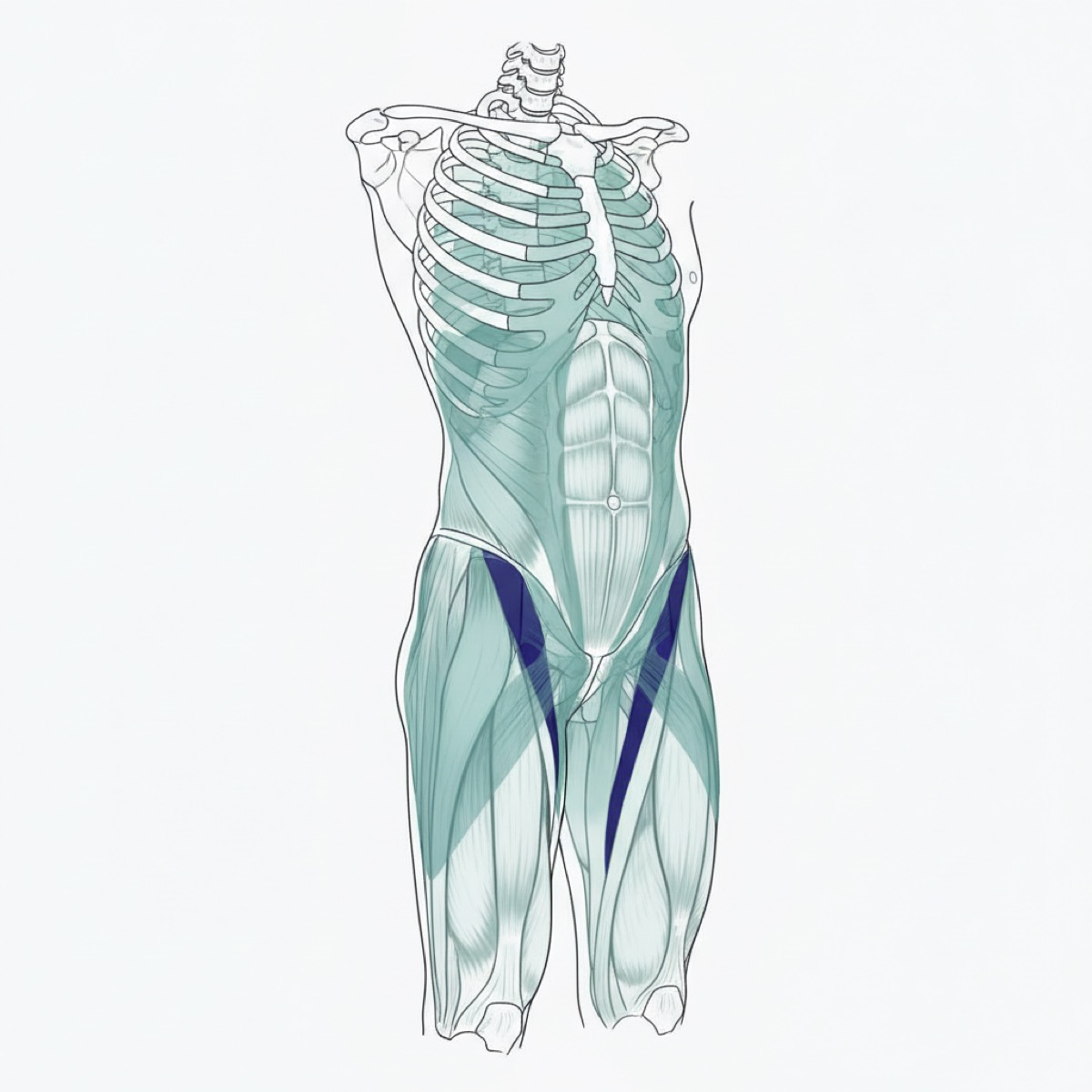 Why does low back pain relate to frozen shoulder?