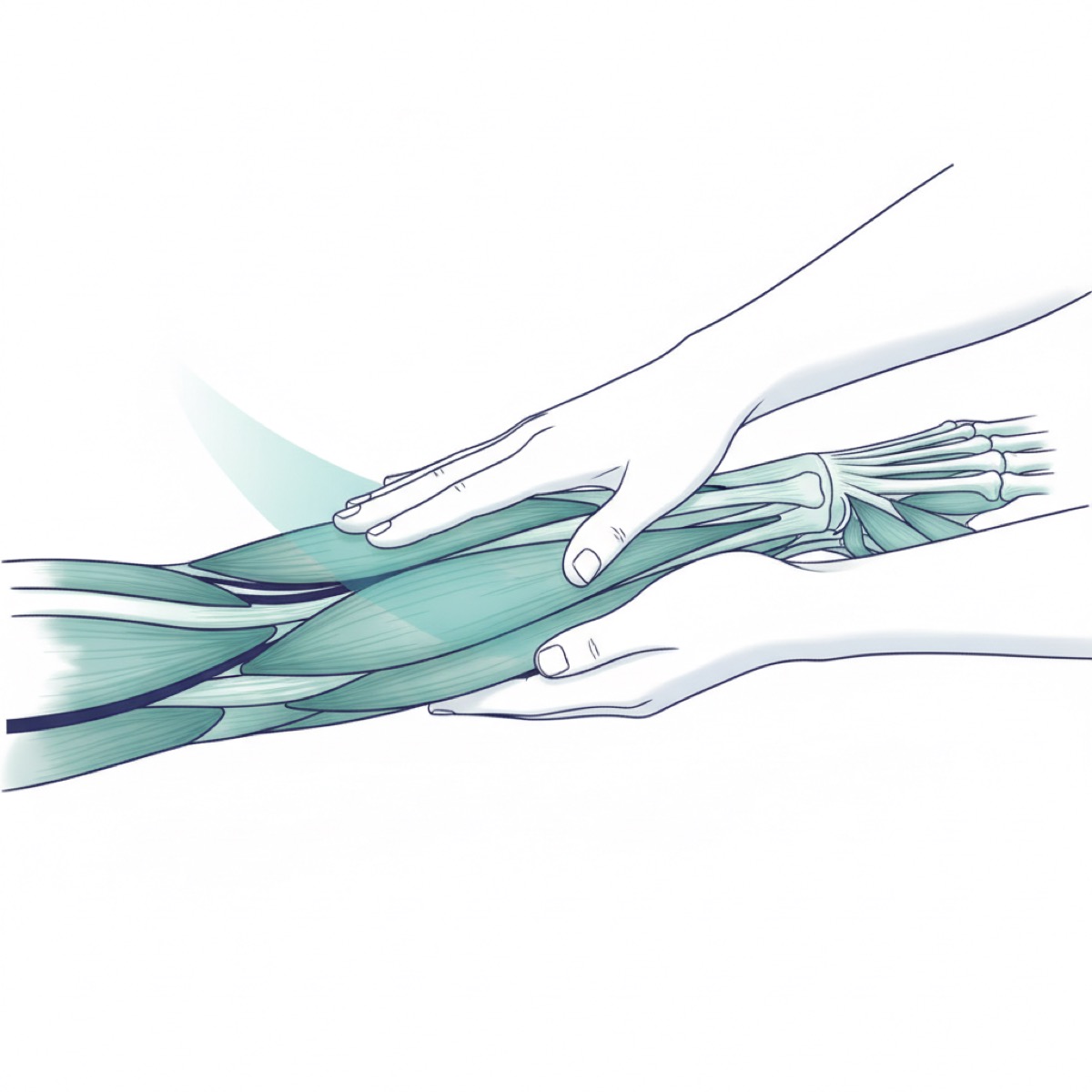 What techniques are used in fascia release?