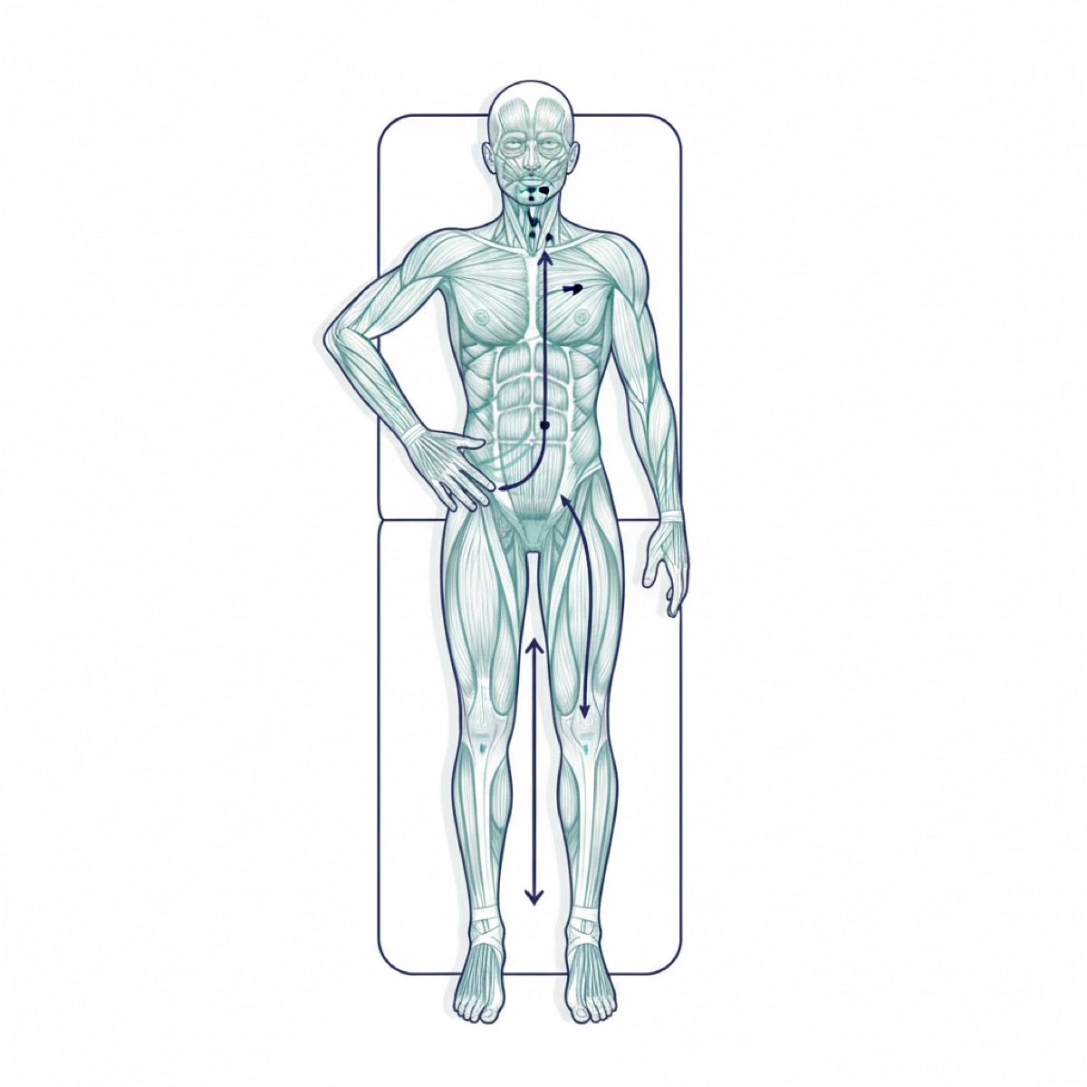 What should you expect from a fascia release session?