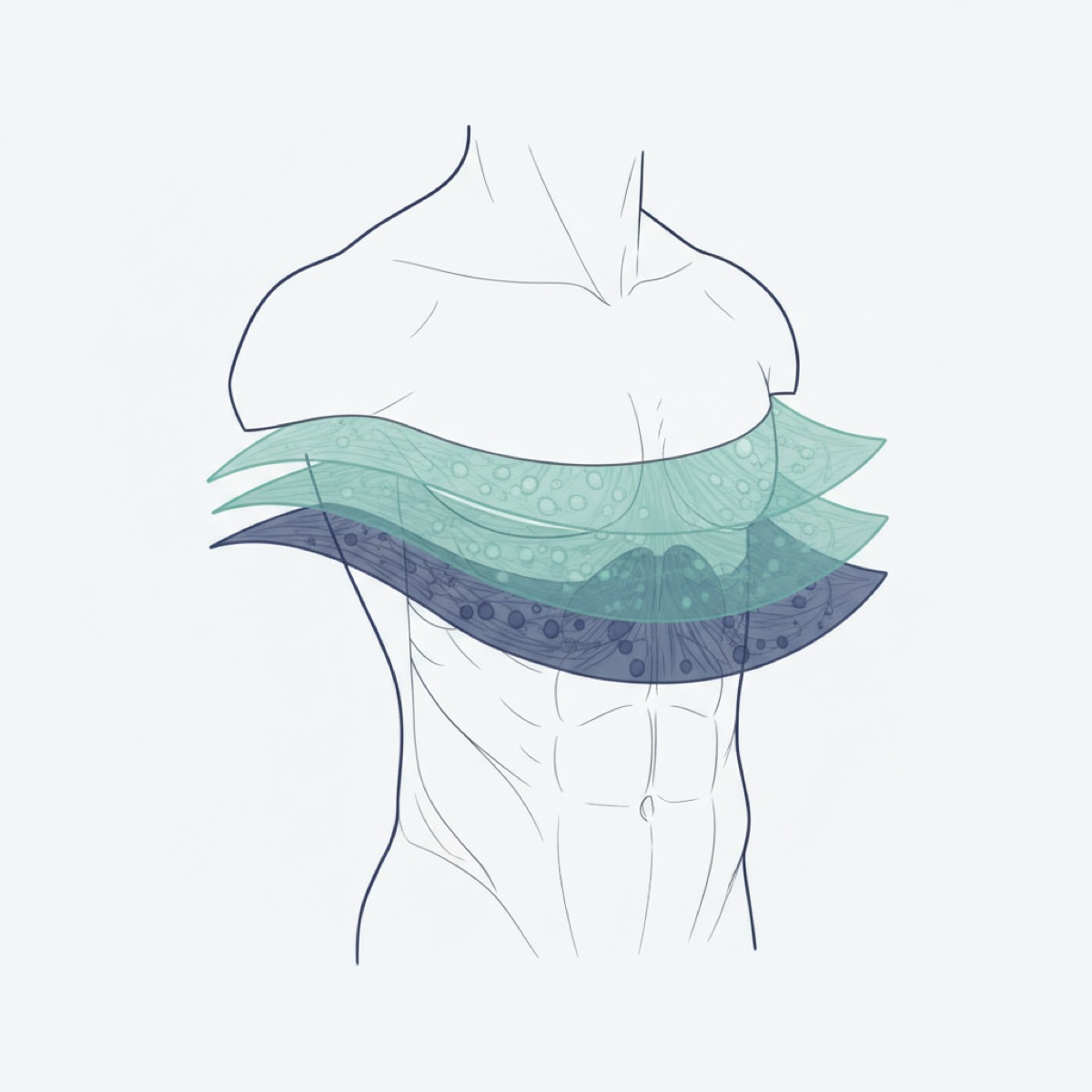 How can fascia release affect facial structure?