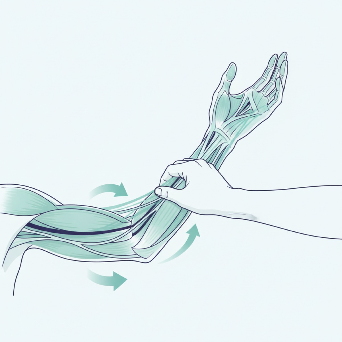 What to expect from fascia release