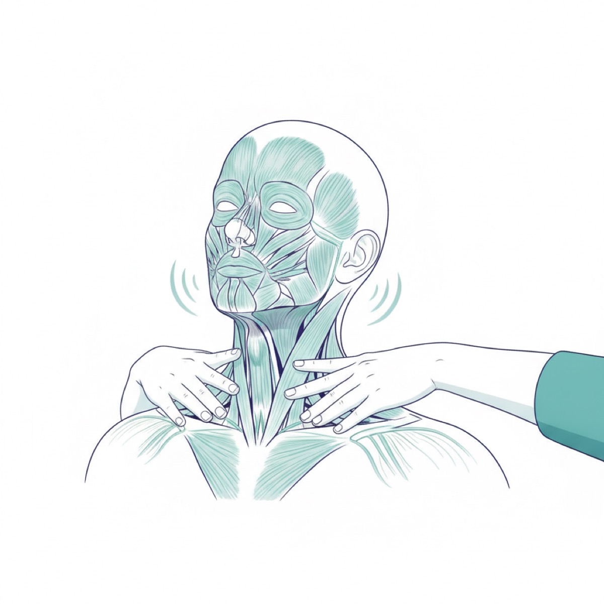 What should you expect during a fascia release session?