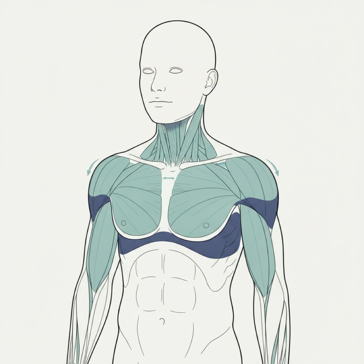 How does fascia release alleviate neck pain?