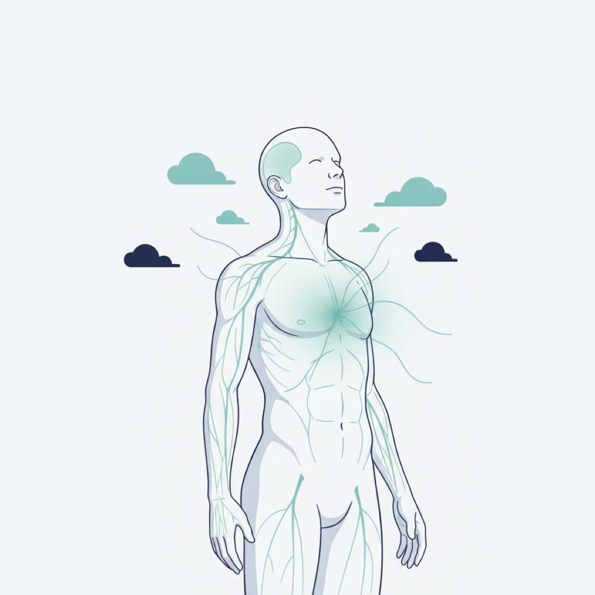What can patients expect after fascia release?