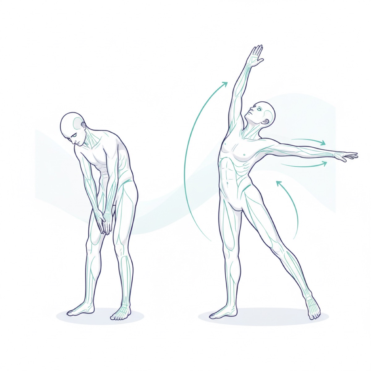 Can fascia release improve mobility?
