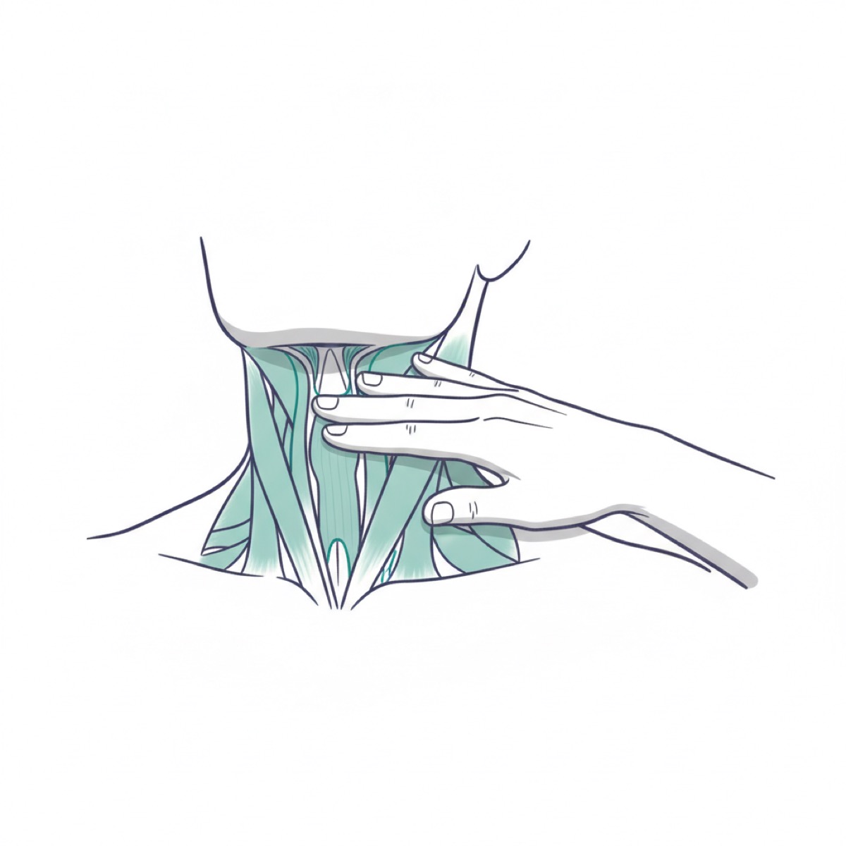 What to expect during a fascia release session